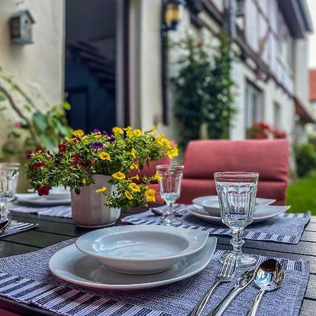 Am Mathildenbrunnen Gross Apartment Quedlinburg Ngoại thất bức ảnh
