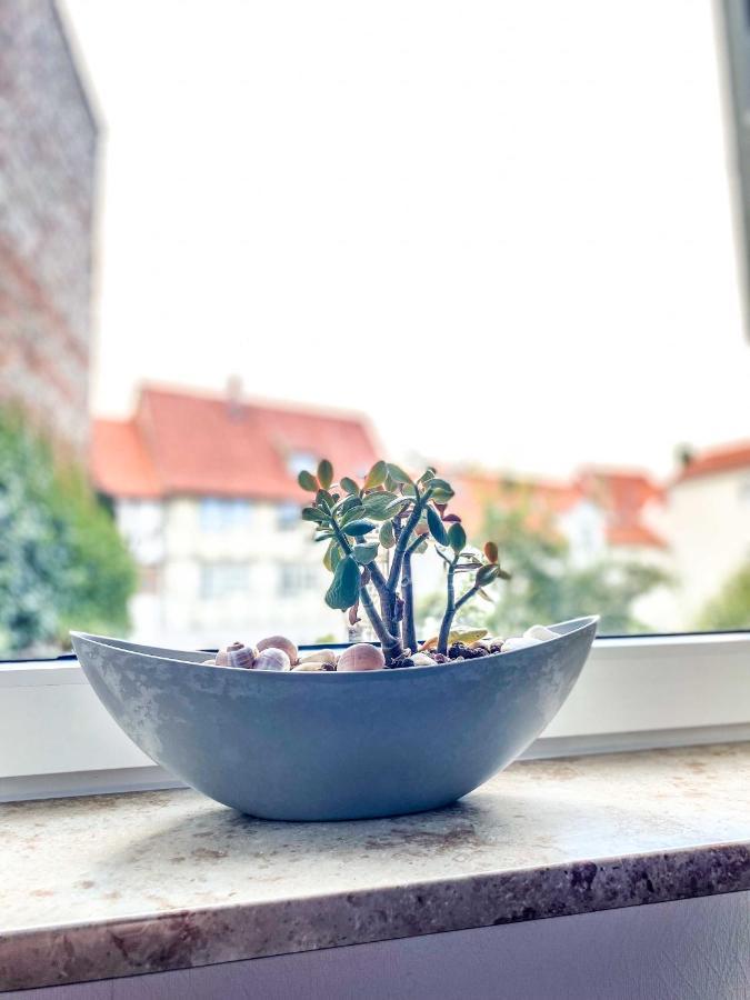 Am Mathildenbrunnen Gross Apartment Quedlinburg Ngoại thất bức ảnh