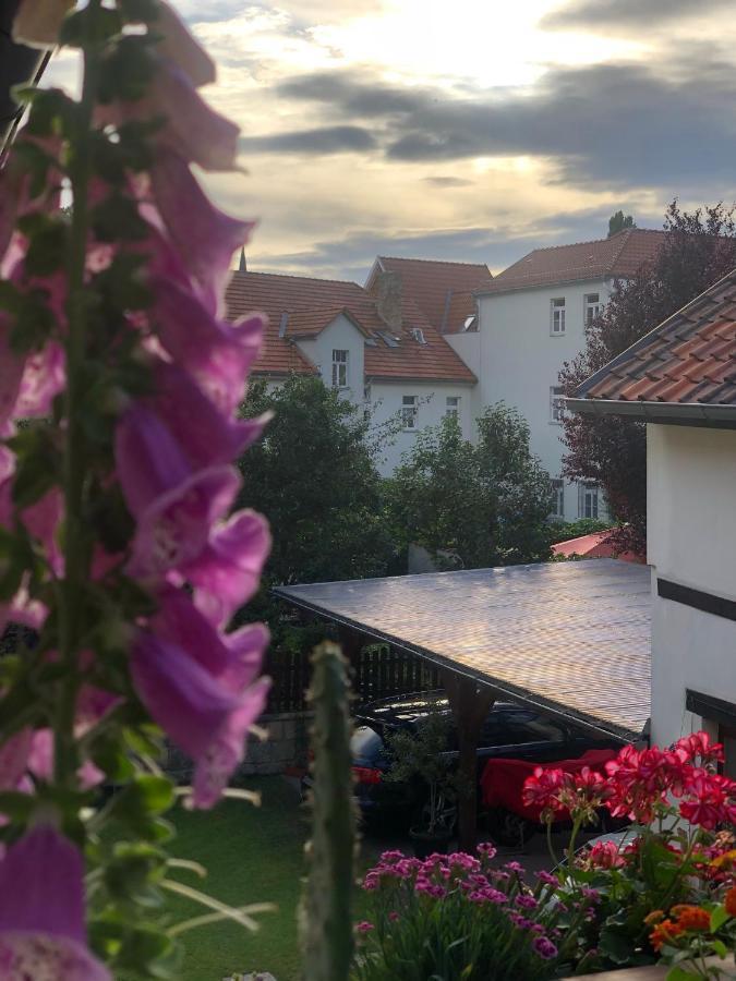 Am Mathildenbrunnen Gross Apartment Quedlinburg Ngoại thất bức ảnh