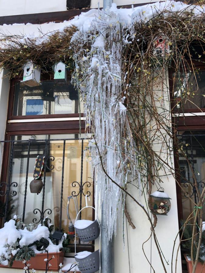 Am Mathildenbrunnen Gross Apartment Quedlinburg Ngoại thất bức ảnh